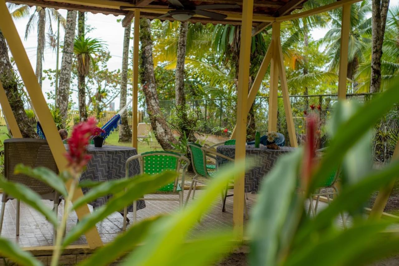 Hotel Tierra Verde Bed And Breakfast Bocas del Toro Zewnętrze zdjęcie
