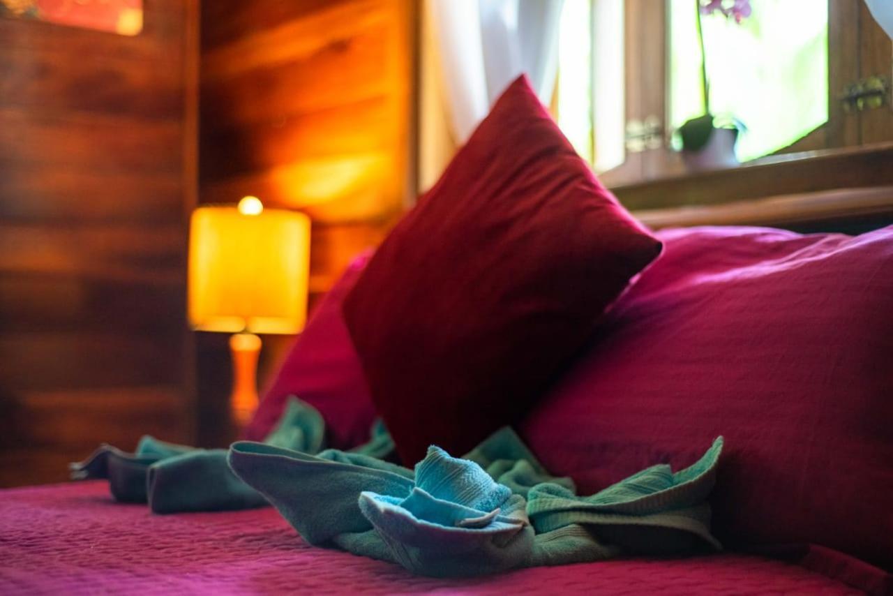 Hotel Tierra Verde Bed And Breakfast Bocas del Toro Zewnętrze zdjęcie