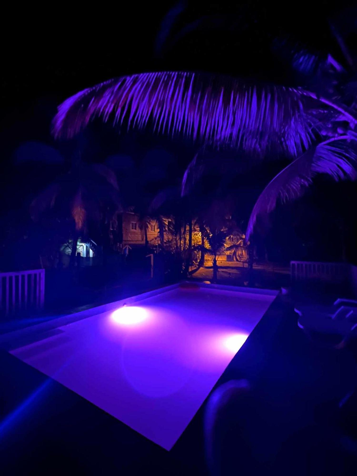 Hotel Tierra Verde Bed And Breakfast Bocas del Toro Zewnętrze zdjęcie