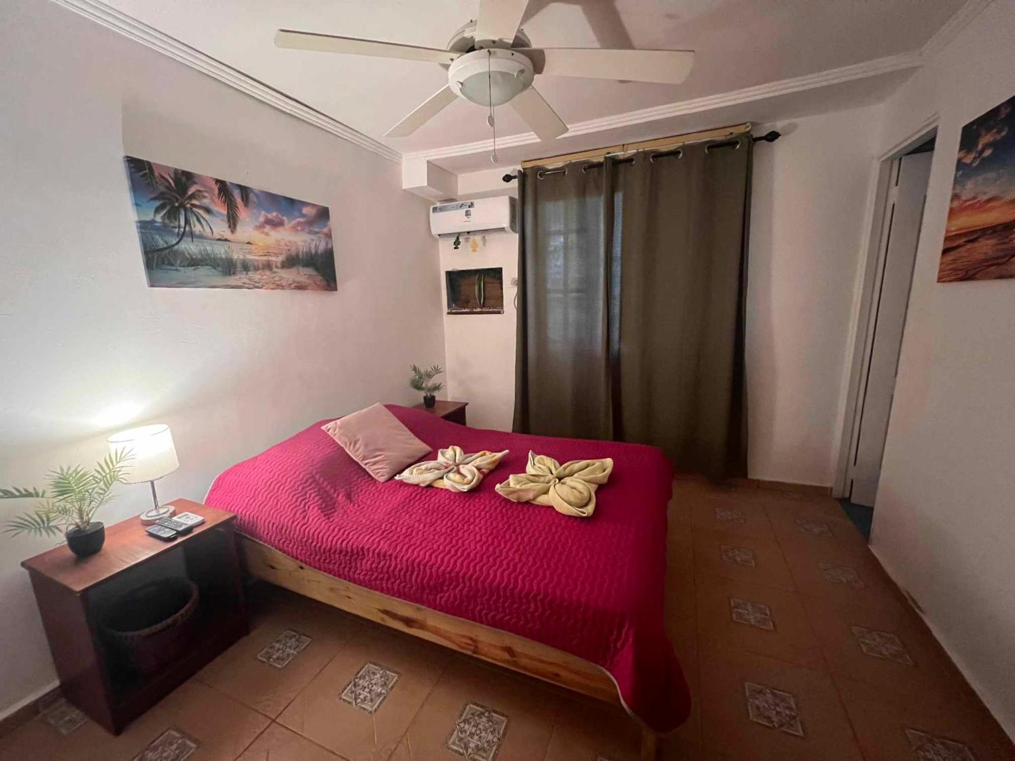 Hotel Tierra Verde Bed And Breakfast Bocas del Toro Zewnętrze zdjęcie