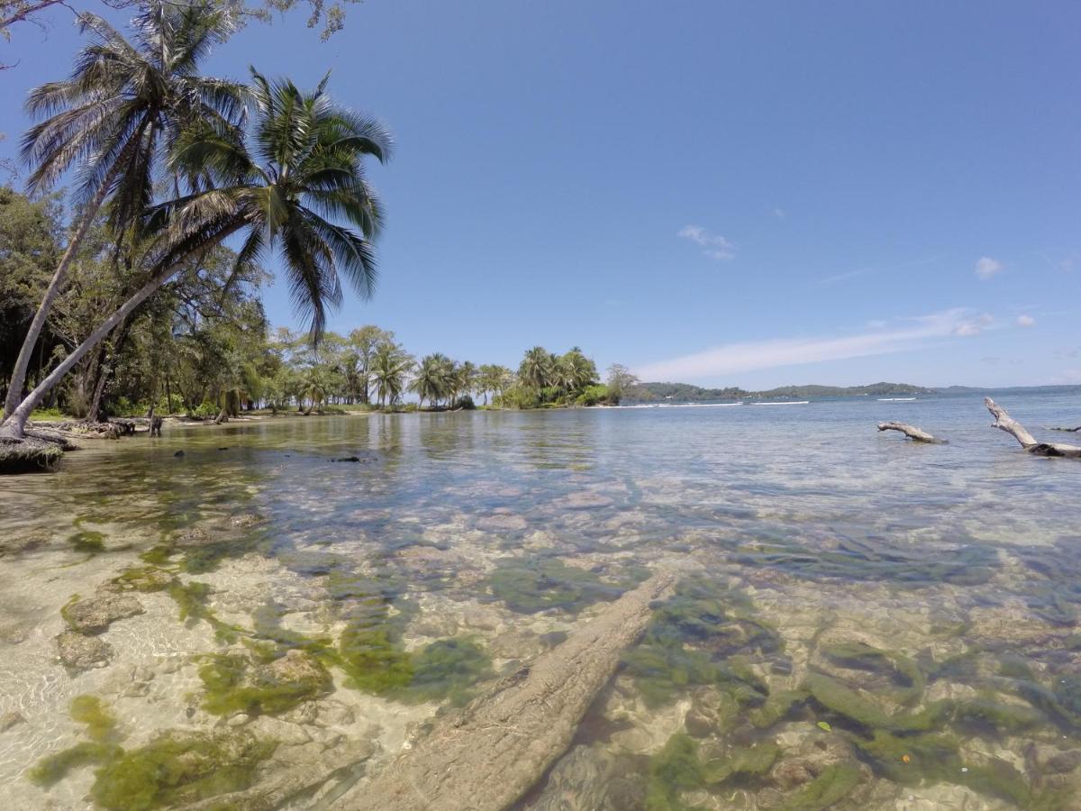 Hotel Tierra Verde Bed And Breakfast Bocas del Toro Zewnętrze zdjęcie